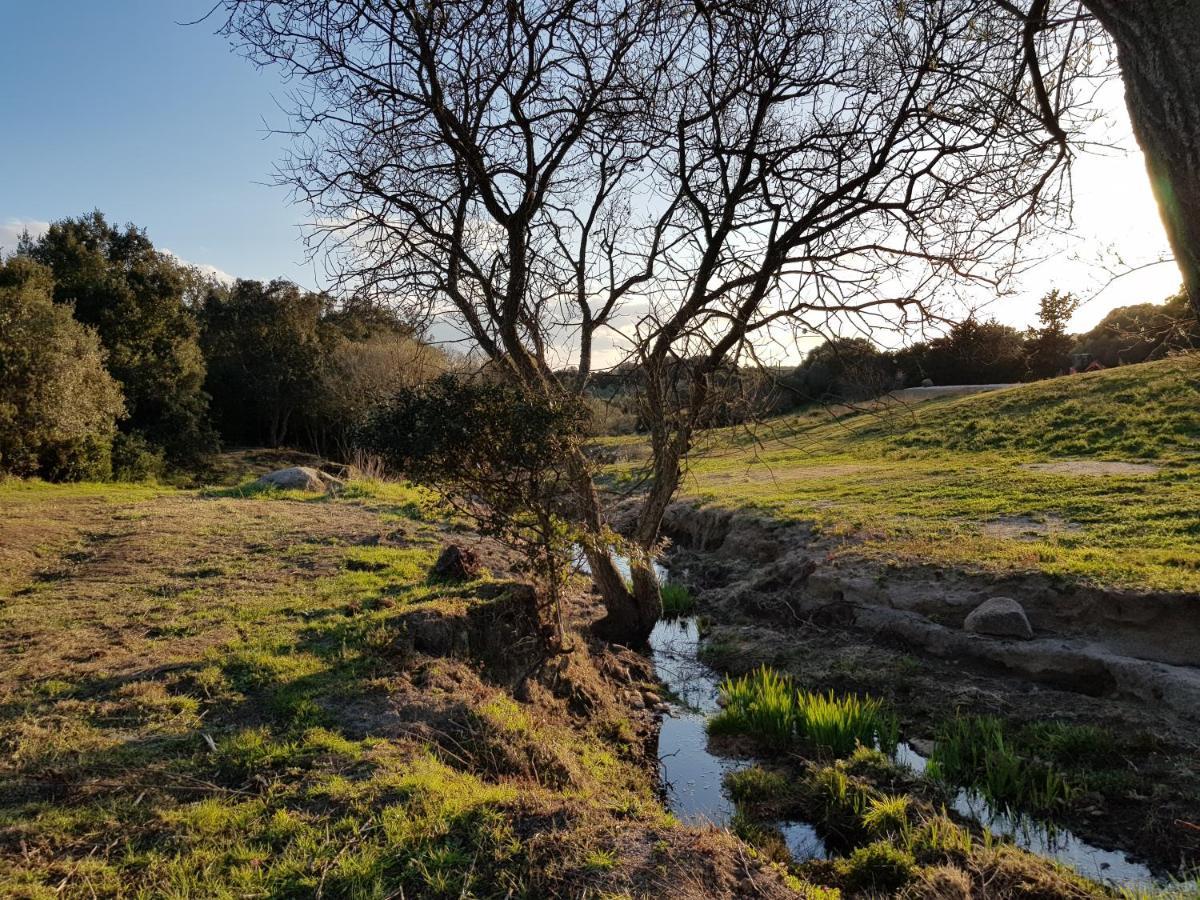 Bed and Breakfast Aldo Countryside Arzachena Exterior foto