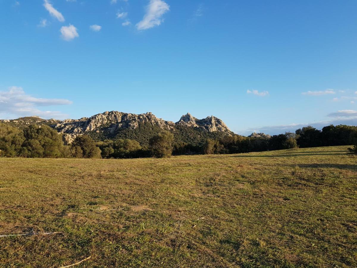 Bed and Breakfast Aldo Countryside Arzachena Exterior foto